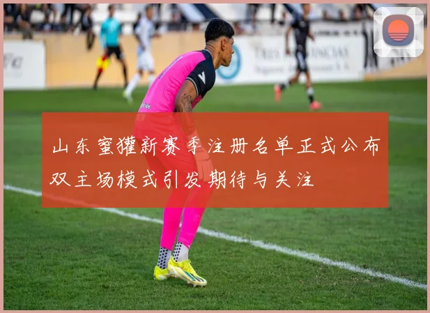 山东蜜獾新赛季注册名单正式公布双主场模式引发期待与关注