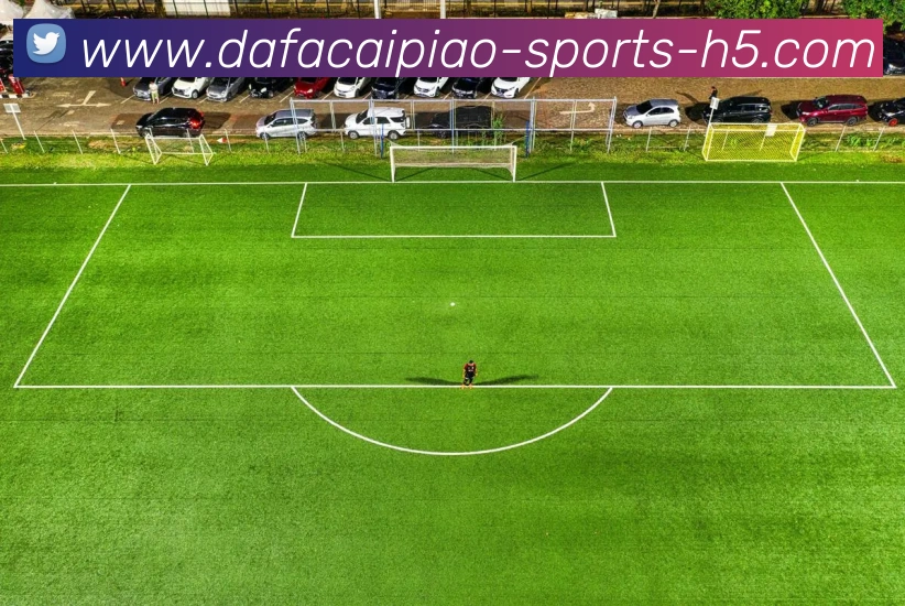 大发彩票APP 封面图