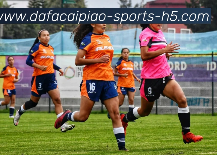 数据防护可视化